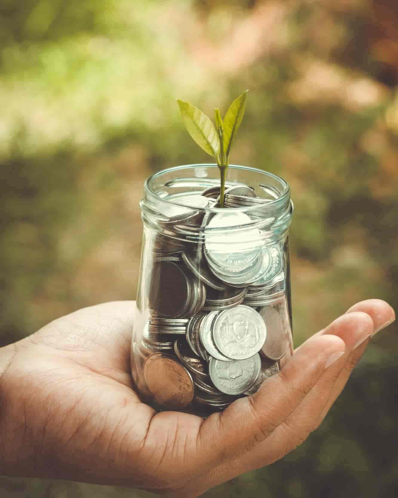 An adult hand holds a glass jar of coins. A small plant is growing out of the top of the jar. 