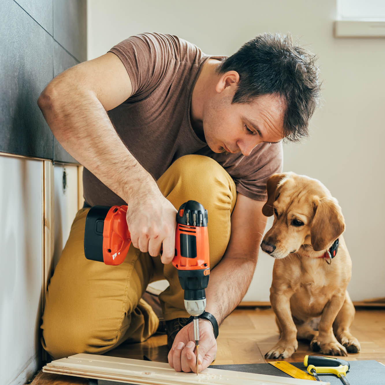 Man with electric drill and puppy watching